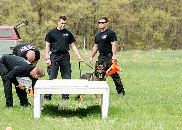 Sm web MPD K9-5463_