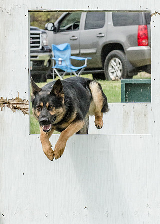 Sm web MPD K9-5580_
