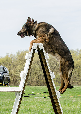 Full ResMPD K9-5485_