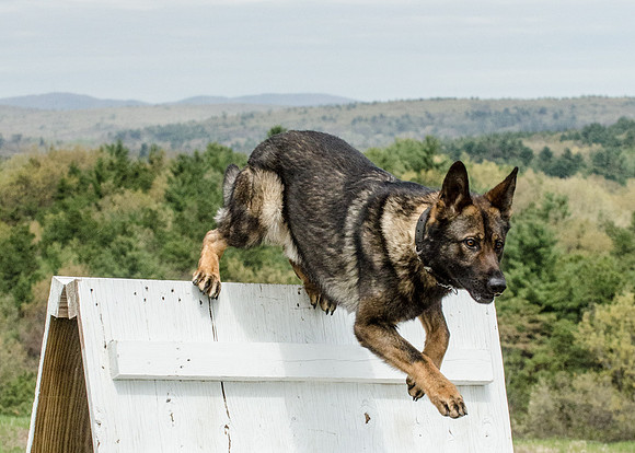Sm web MPD K9-5602_