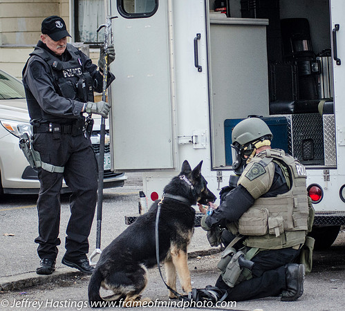 MPD SWAT Orange St K9-9782