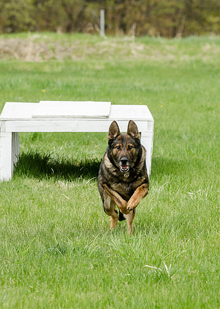Sm web MPD K9-5473_