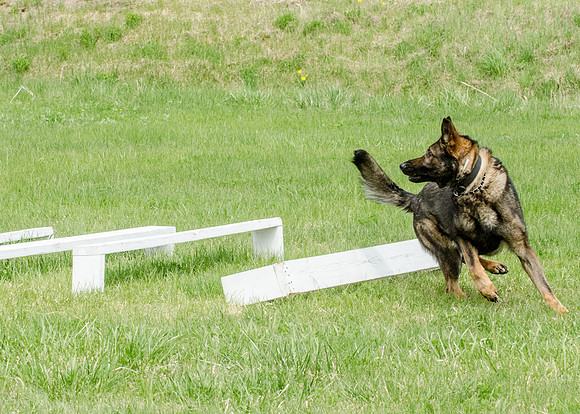 Sm web MPD K9-5612_