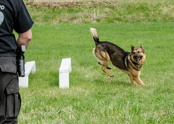 Sm web MPD K9-5641_