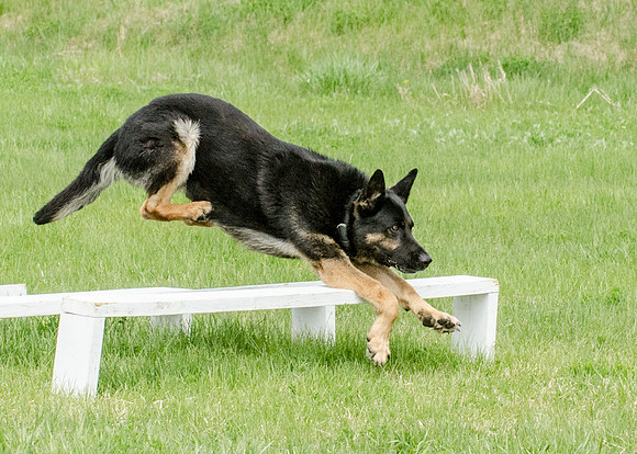 Sm web MPD K9-5554_