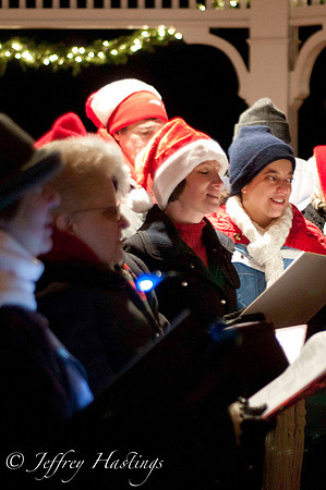 FSP Carol 2011-17