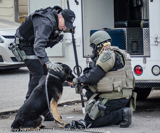 MPD SWAT Orange St K9-9784