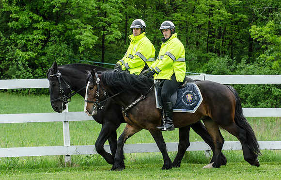 Mounted - -