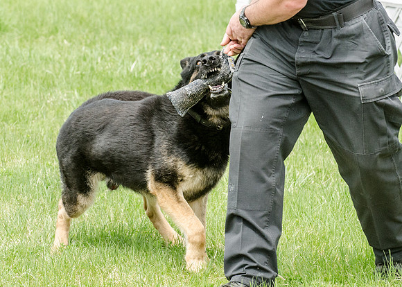 Sm web MPD K9-5572_