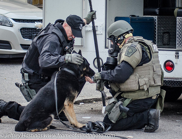 MPD SWAT Orange St K9-9793