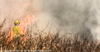 BFD 2 Alarm Brush Fire