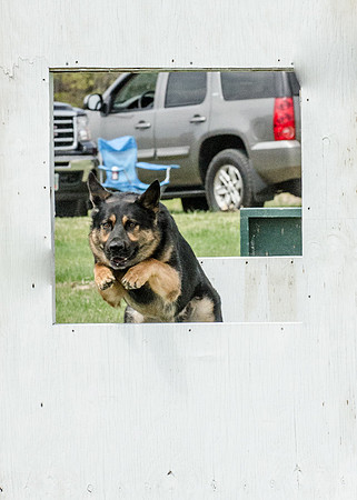 Sm web MPD K9-5579_