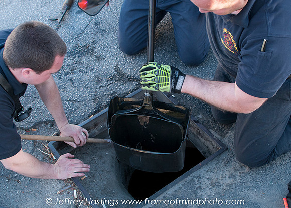 LFD DUCK RESCUE-7876140