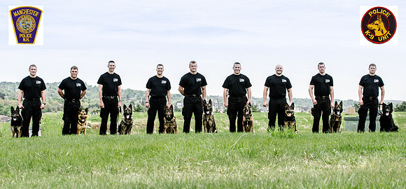 Sm web MPD K9-5396_- LOGO 3