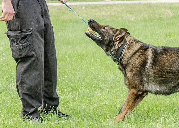 Sm web MPD K9-5626_