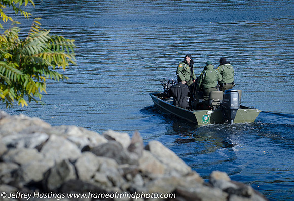 NHSP F&G Search Nashua-8311