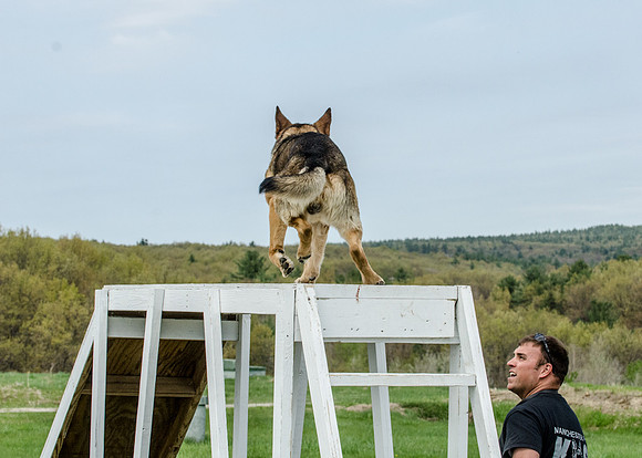 Sm web MPD K9-5662_