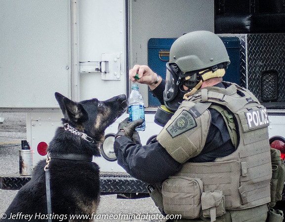 MPD SWAT Orange St K9-9780-2