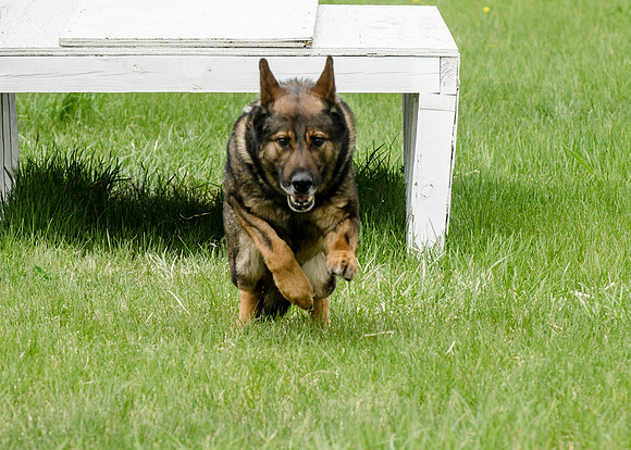 Full ResMPD K9-5471_