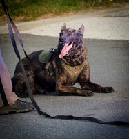 NHSP Pursuit - 101 West Exeter to Auburn-8074