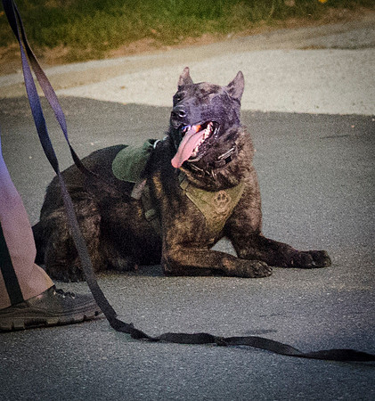 NHSP Pursuit - 101 West Exeter to Auburn-8074
