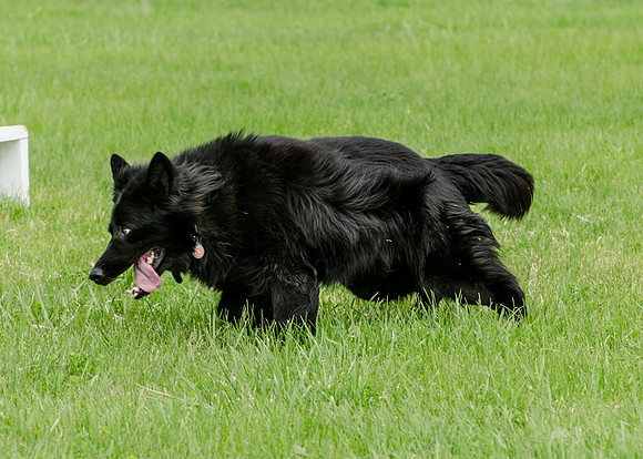 Sm web MPD K9-5524_
