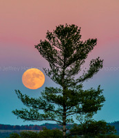 Super Moon-4005