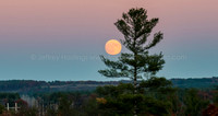 Super Moon 2016-4007