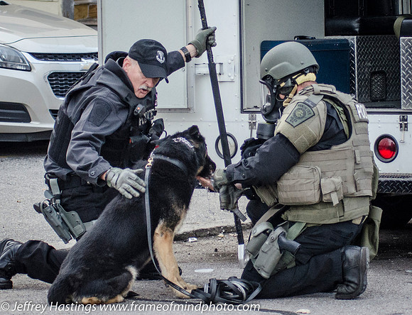 MPD SWAT Orange St K9-9787