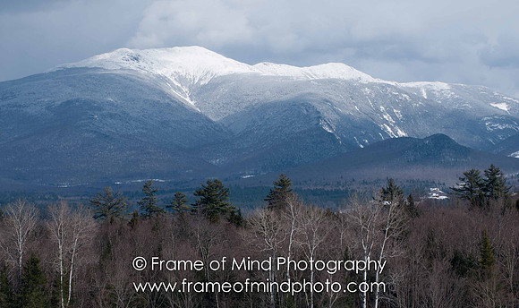 NH Images-2-3