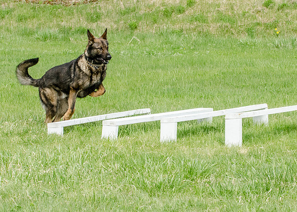 Sm web MPD K9-5607_