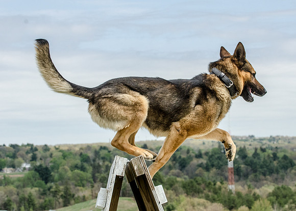 Sm web MPD K9-5637_