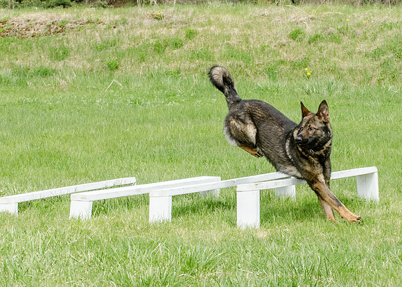 Sm web MPD K9-5610_