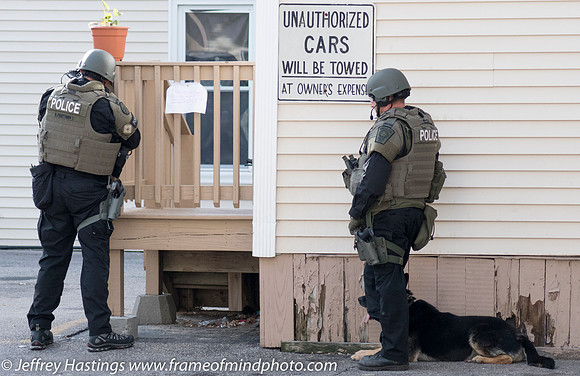MPD SWAT Orange St K9-2866