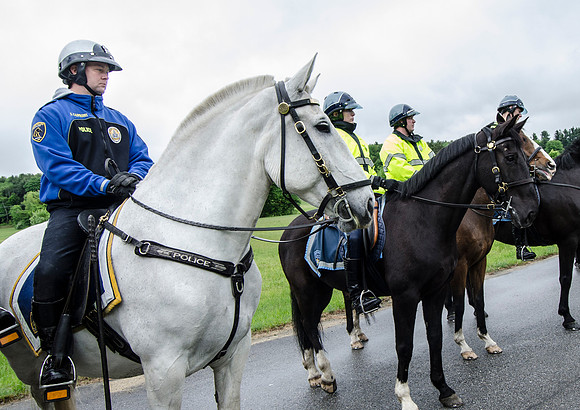 MPD Mounted Training-1419_