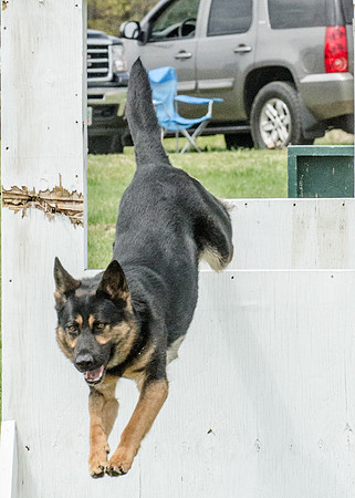 Sm web MPD K9-5581_