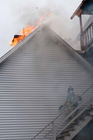 MFD Myrtle St-2978