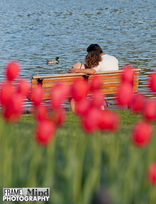 Boston Common-3