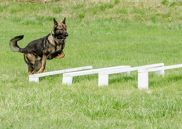 Full ResMPD K9-5607_