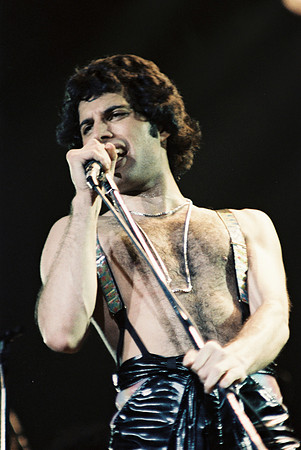 freddie mercury