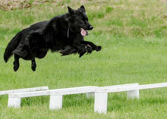 Full ResMPD K9-5518_