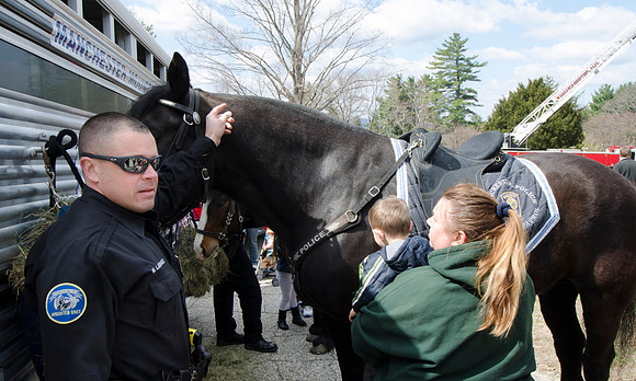 Mounted - --11