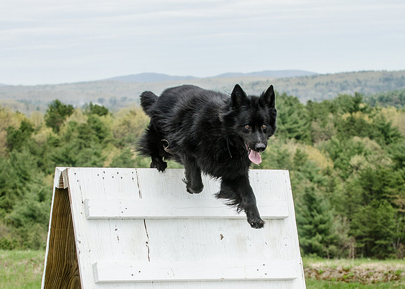 Full ResMPD K9-5505_