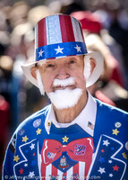 Veterans Day 2014-87482088