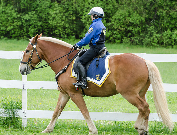 MPD Mounted Training-8223_
