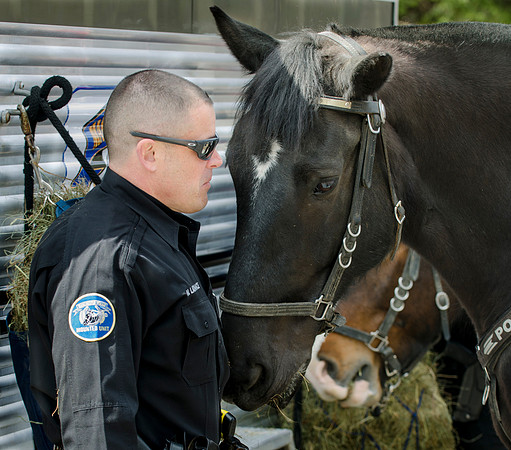 Mounted - --10