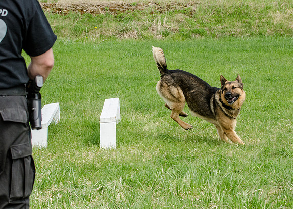 Full ResMPD K9-5641_