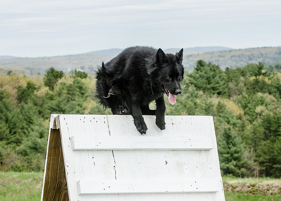 Full ResMPD K9-5504_