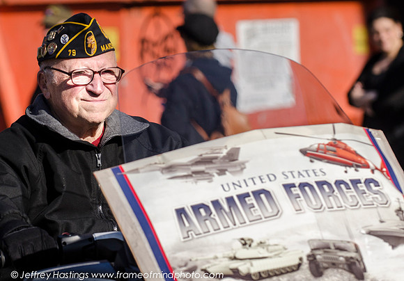 Veterans Day 2014-84302088