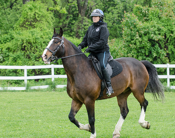 MPD Mounted Training-8242_